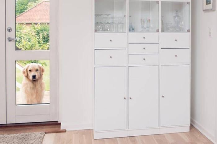 Movable casework is environment friendly cabinet millwork drafting