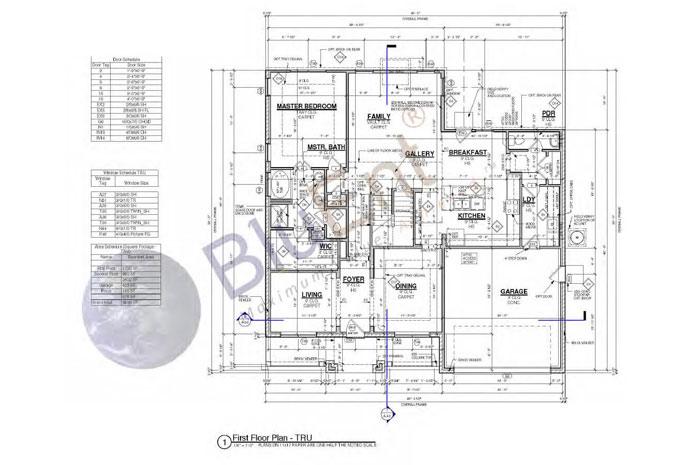 Elevation Drawings with Perfect Plan and Section
