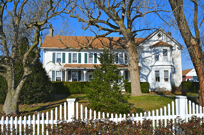 What are the Various Types of Fencing for Homes?