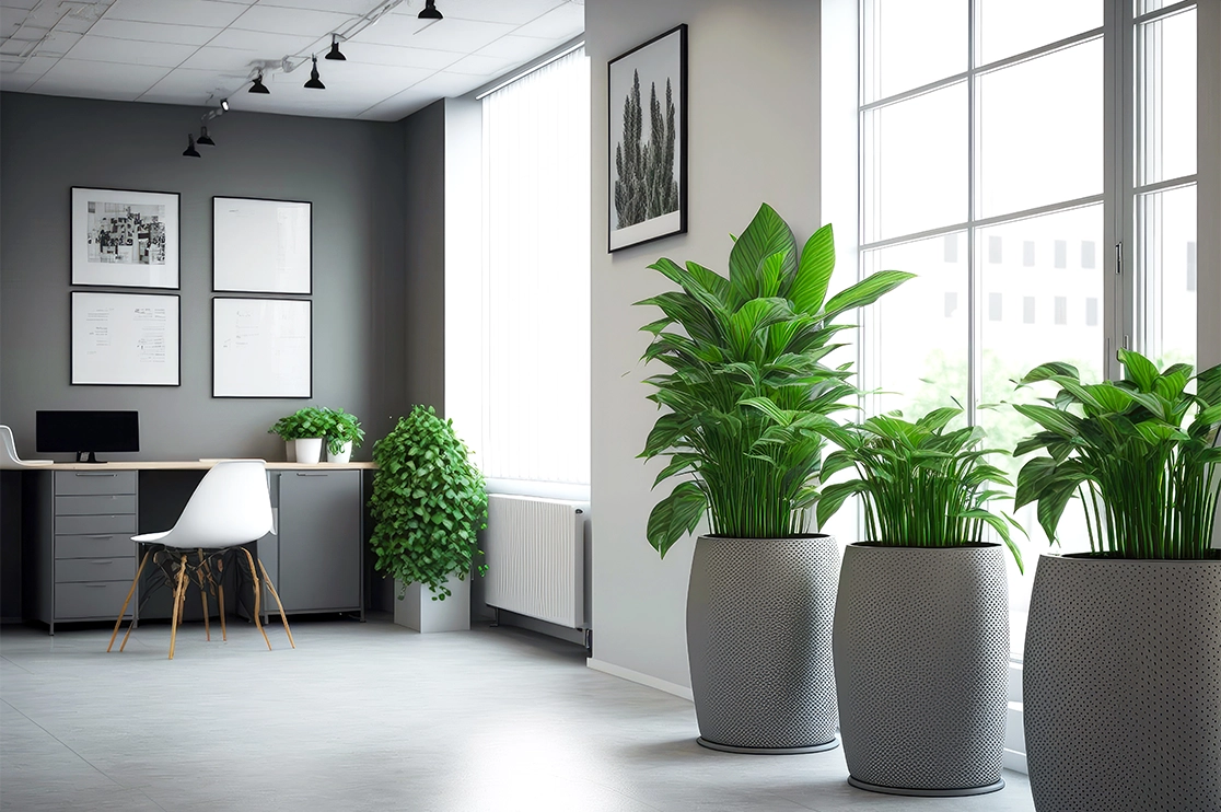 Hygge Office Design Benefits and Elements