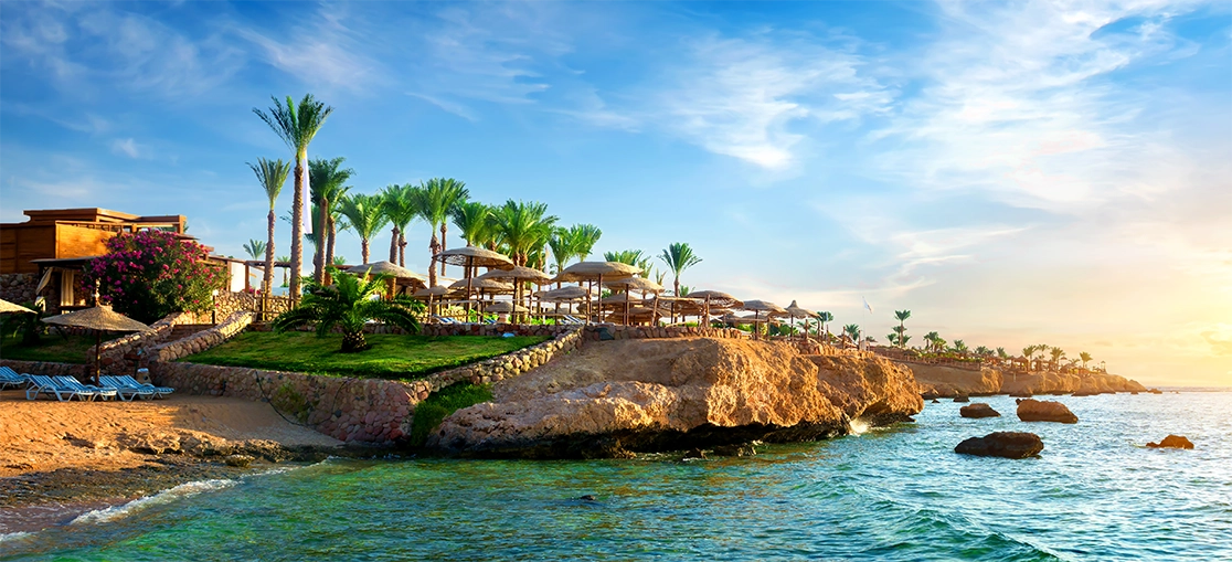 Keep Guests Coming Back With the Right Hotels Landscape